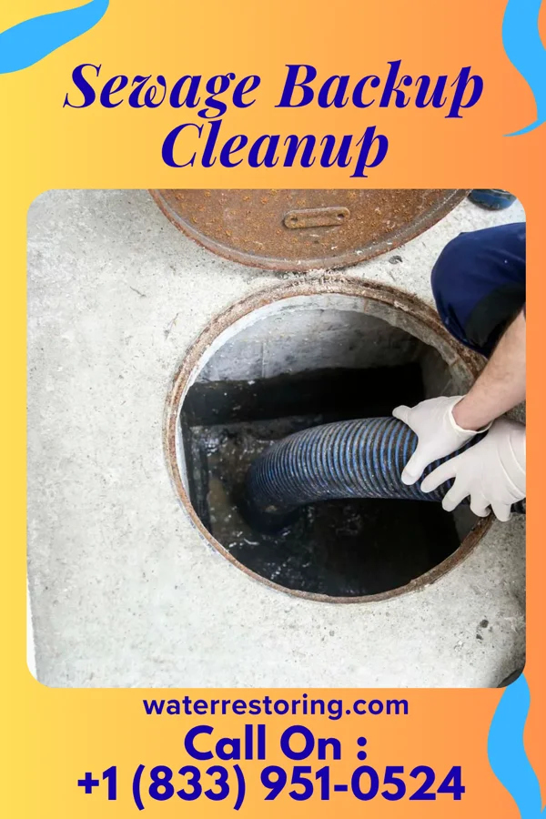 Sewage Backup Cleanup in Elmore, MN